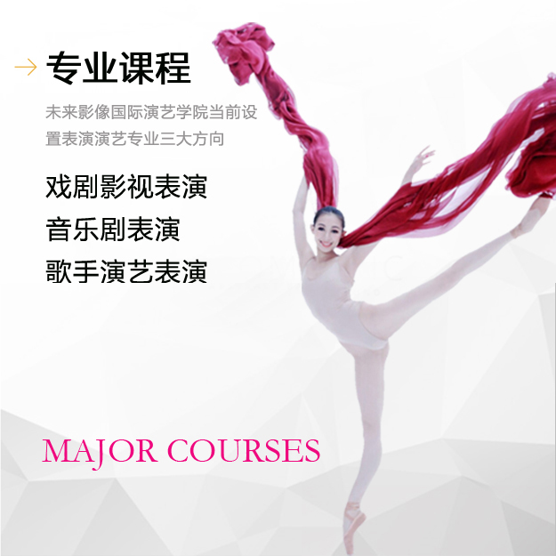 专业设置